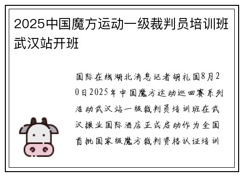 2025中国魔方运动一级裁判员培训班武汉站开班
